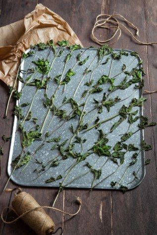 Recycler ses herbes aromatiques - Sécher de la menthe à infuser - photography