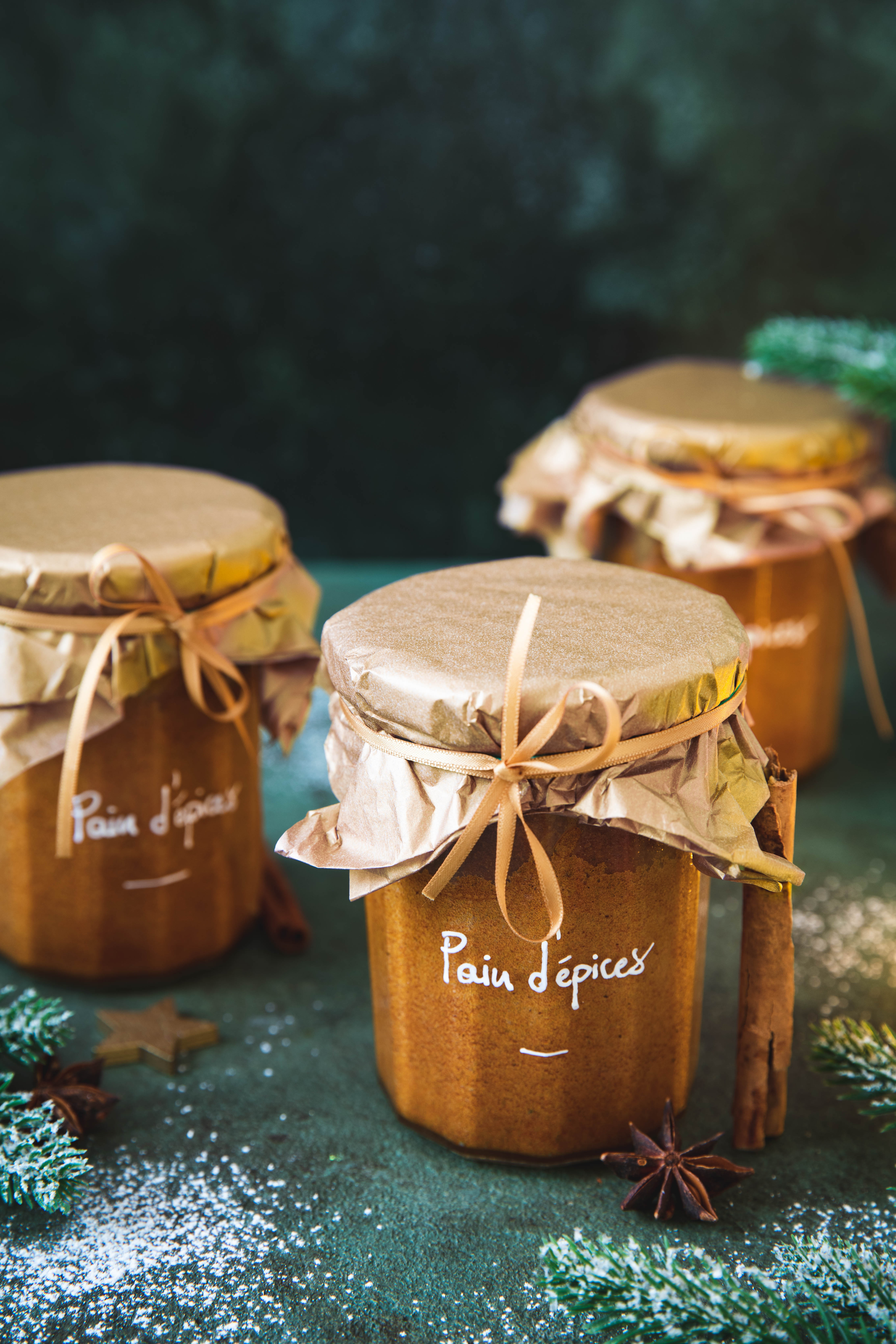 Pots de pain d'épices - DIY de Noël à offrir - photography
